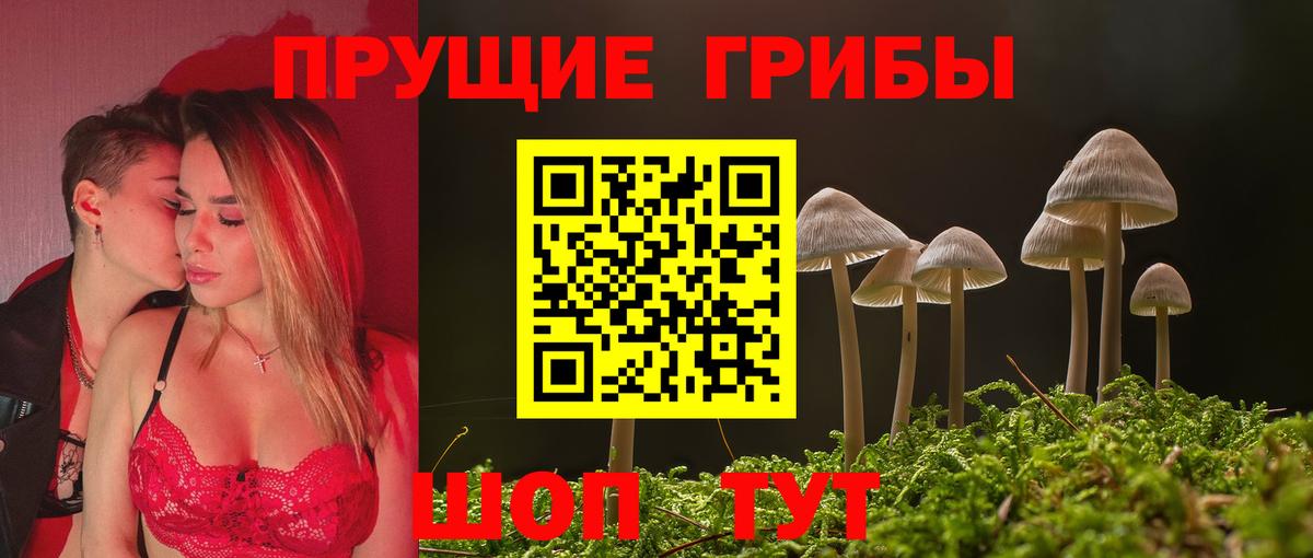 Галлюциногенные грибы Psilocybe  Псилоцибиновые грибы Cubensis  Когалым  Вход с VPN 